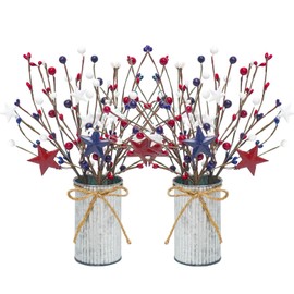 Caplidou 2 Pcs Patriotic Decorations, 4th of July Artificial Floral Berry Stem Picks with Vase Red White and Blue Berries Flowers Branches for Independence Day Memorial Day Table Centerpieces Home