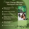 Kiss Quick Cover Champú natural de cambio de color a