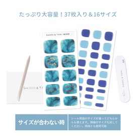 DANNI & TONI 3639 Foot Gel Nail Stickers, Curing Type, For Feet, Semi-Hardened, Gel Nails, Spring and Summer, 2 Weeks, Long Lasting, Waterproof, SGS Certified, 37 Pieces, Tool Included, Seaside Splendor