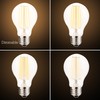 Revel LED 6W Dimmable Light Bulb (60W Replacement), Warm White