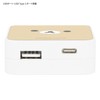 Gourmandies Rilakkuma GRC-336A USB/USB Type-C AC Adapter