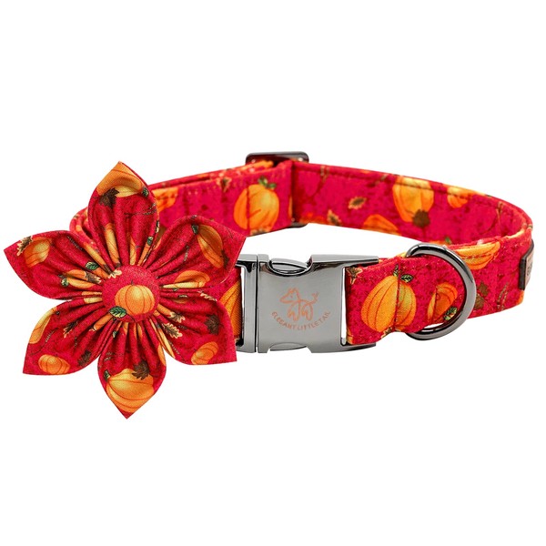 Elegant Little Tail Flower Dog Collar for Medium Dogs -