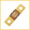 REPAIROCK 2pcs 70A 32V AMI Fuses Replacement for Automotive Marine