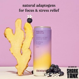 Moment Still Botanical Water (Blueberry Ginger, 11.5 Fl Oz (Pack of 12))