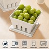 Dizada Ceramic Berry Basket with Lids, Fruit Bowl/Baskets with Covers,