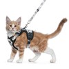Halypet Cat Harness and Leash Set for Walking, Escape Proof