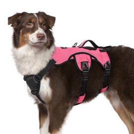 rabbitgoo Escape Proof Dog Harness, Soft Padded Full Body Pet Harness, Reflective Adjustable No Pull Vest with Lift Handle and Leash Clip for Large Dogs Walking Hiking Training, M, Pink