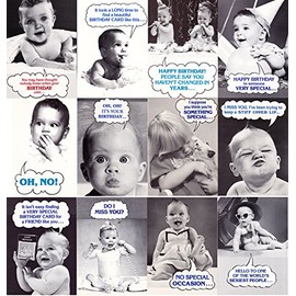 Family Album All Occasion Funny Greeting Card Assortment - Birthday, Friendship, Love, etc - 12 pack