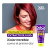 Tratamiento Capilar Para Cabello Teñido Con Extracto de Uva 2