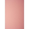 Netuno 10 x Coloured Card Salmon Colour Textured on One