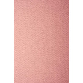 Netuno 10 x Coloured Card Salmon Colour Textured on One Side DIN A4 210 x 297 mm 220 g Prism Salmone Craft Cardboard Structure High Quality for Invitations Business Cards Diplomas Drawing Crafts