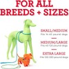 Harness Lead No Pull Dog Harness and Leash Set, Anti