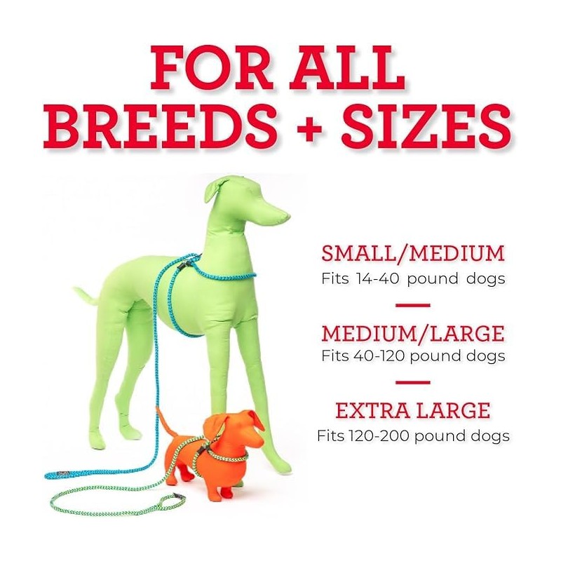 Harness Lead No Pull Dog Harness and Leash Set, Anti