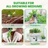 Humboldts Secret Everything Growing 20-20-20 Fertilizer | All Purpose Water