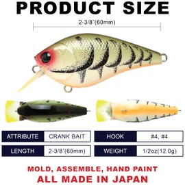 Lucky Craft Angelausrüstung LC1.5-348CGRCR