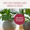 Miracle-Gro Houseplant Potting Mix: Fertilized, Perlite Soil for Indoor Gardening,
