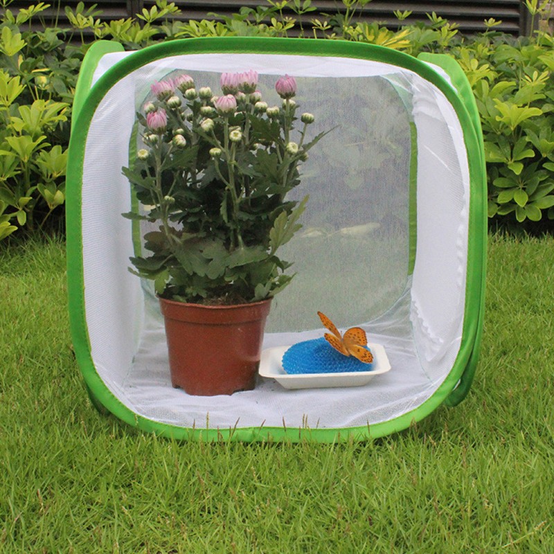 Large Foldable Portable Durable Ventilated Butterfly House Breeding Cage （S）