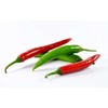 SeedsUP - 40+ Seeds Hot Ornamental Chili Pepper Mix -