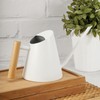 Watering Can with Long Spout 800ml Stainless Steel Matte Indoor
