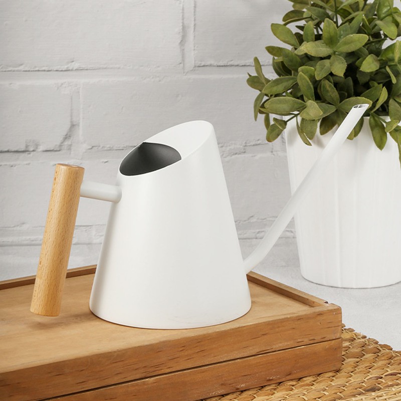Watering Can with Long Spout 800ml Stainless Steel Matte Indoor