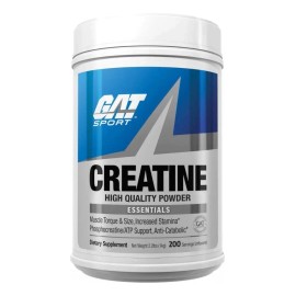 Creatina Monohidratada Micronizada Gat 200 Porciones Sabor Polvo