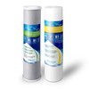 1 High Capacity Coconut Shell Carbon Block & 1 Big