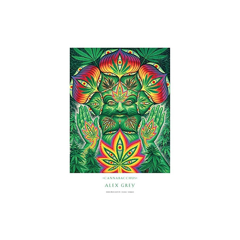 Alex Grey - Cannabacchus - Poster