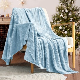 Exclusivo Mezcla Light Blue Fleece Throw Blanket for Couch Bed, Super Soft Cozy Blankets with Decorative Wave Textured, Lightweight Plush Blanket All Season Use, 50x70 Inches