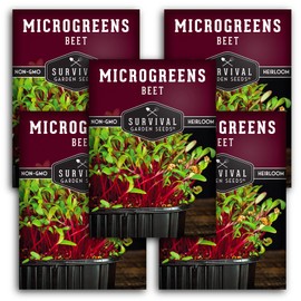 5 Packs Beet Microgreens Seeds for Planting and Growing - Plant Green Leafy Micro Vegetable Plants Indoors - Grow Your Own Mini Windowsill Garden - Non-GMO Heirloom - Survival Garden Seeds