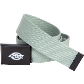 Dickies Orcutt Belt, Iceberg Green, One size fits all