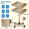 Rolling Salon Tray Cart, Champagne Gold Salon Tray, Multi-Function Metal