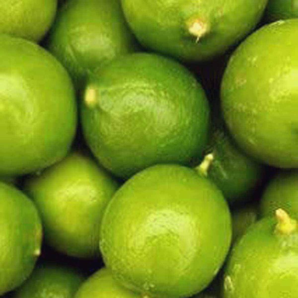 Melissa's Fresh Key Limes, (5 Lb)