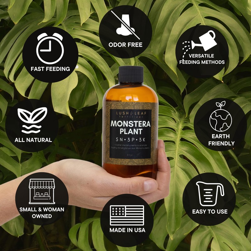 Lush Leaf | Plant Food (Monstera)