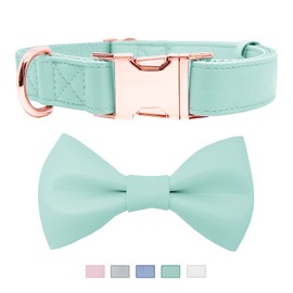 Soft Leather Bowtie Dog Collar - Adjustable Cute Bow Tie Collar [Easy to Clean] with Stylish Rose Gold Heavy Duty Metal Buckle for Small Medium Large Dogs Mint Green S