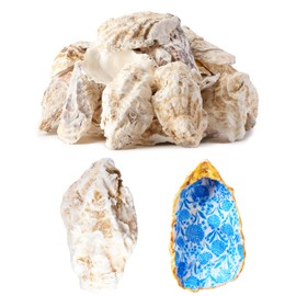 Letravagance 30Pcs Extra Large Oyster Shells for Crafts  5"-6" , Oyster Shell for Crafting Seashells for CraftsPaintingWeddingChristmasBeach Theme Decor and CleanOdor-Free Sea Shells for Crafting