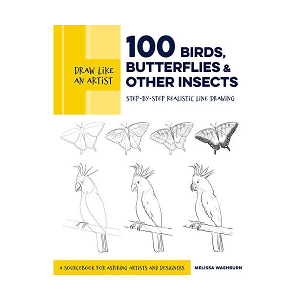Draw Like an Artist: 100 Birds, Butterflies, and Other Insects: