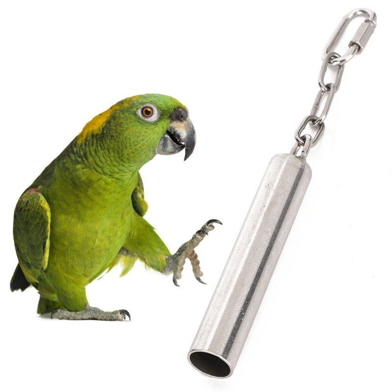 Squirrel Bells Stainless Steel Bells Toys for Birds Large Parrot