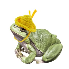 pranovo 3 Pack Frog Hats Tree Frog Accessories for Terrarium Snake Hats for Ball Python Corn Snake Hat Tiny Pet Hat