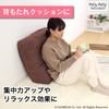 Sanverum L11910 Futon Storage Bag (Dust Mite-Resistant), Brown