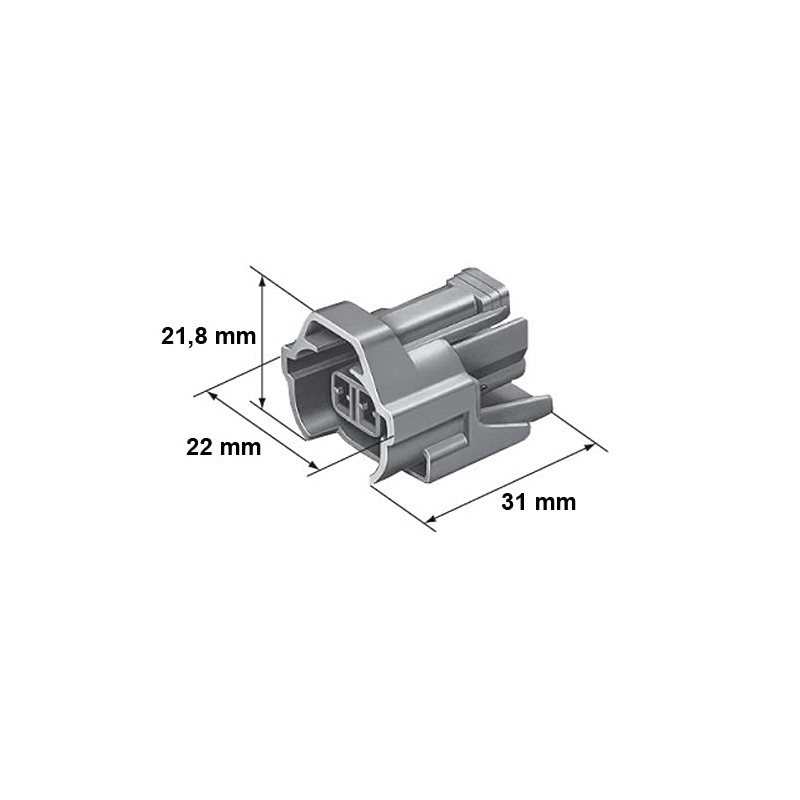 Car Replacement Plug - Petrol Injector - NIP-DEN (2 x