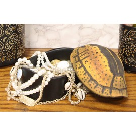 Ebros Gift Nautical Reptile Realistic Yellow Spotted Tortoise Shell Decorative Trinket Box Figurine 6.25" Wide Turtle Shells Rustic Jewelry Stash Box
