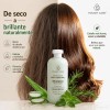 Shampoo Orgánico Artesanal Sábila Romero Verbena Kit 2pzs