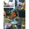 Secrets from Hidden Treasures 1033 Kingfisher Trinket Box