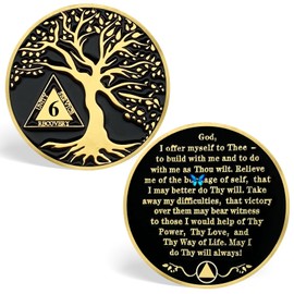 6 Year Sobriety Chips, Tree of Life AA Medallions - AA Sobriety Coins Recovery Coins Sober Tokens for Alcoholics Anonymous Recovery Sober Gifts for Men Women