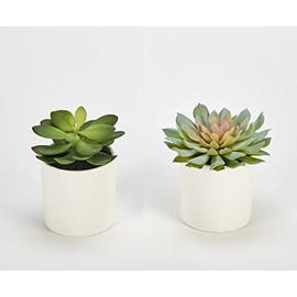Worth Imports Artificial Succulent in 3.75" Diameter White Ceramic Pot, Set of 2