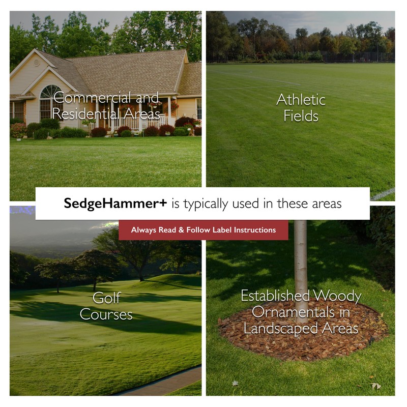 Sedgehammer Plus Turf Herbicide - 4 Pack of 13.5 Gram