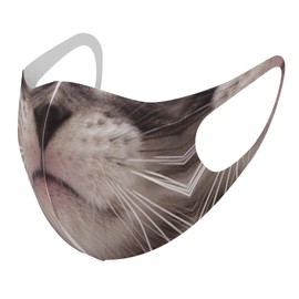 igsticker 020895 Design Mask, Set of 2, Polyester, Washable, Cloth Mask, Unisex, Funny, Unique, Animal and Cat