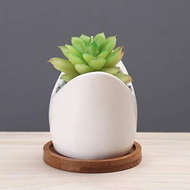 SJBAG Ceramic Animal Shark Shaped Flower Pot - Unique and Charming Home Decor (White & Bamboo Tray)