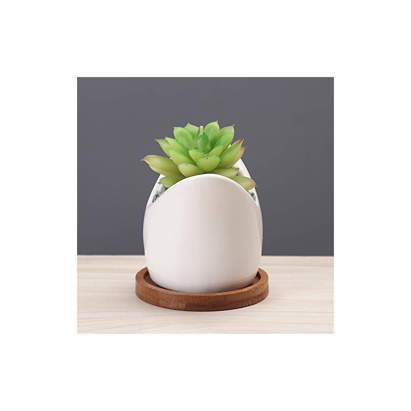 SJBAG Ceramic Animal Shark Shaped Flower Pot - Unique and