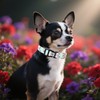 Cute Dog Collar with QR Code Buckle - Adjustable Metal
